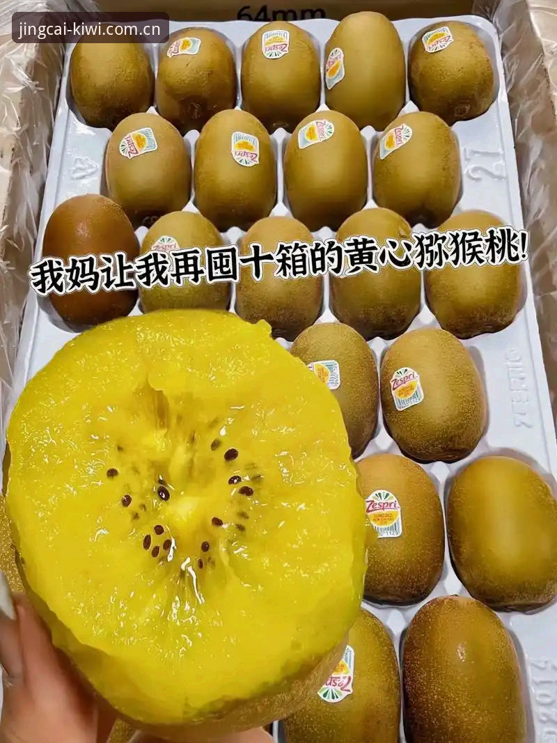 奇异果体育安全吗？全面解析竞彩投注平台推荐与使用指南
